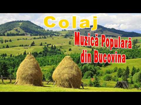 muzica populara romaneasca de petrecere
